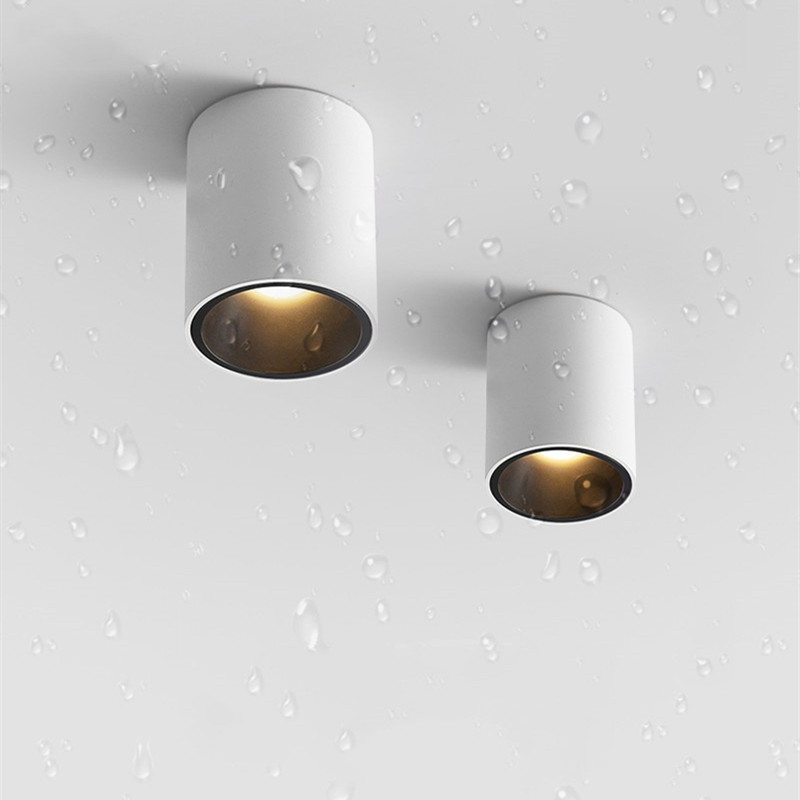 CRI97 LED オープン防水 IP65 ダウンライト 1 - Outdoor Lighting Under Roof のレビューと価格