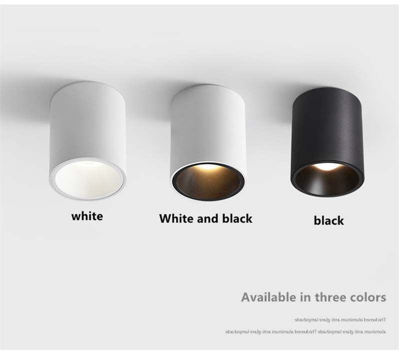 CRI97 LED オープン防水 IP65 ダウンライト 1 - Outdoor Lighting Under Roof のレビューと価格