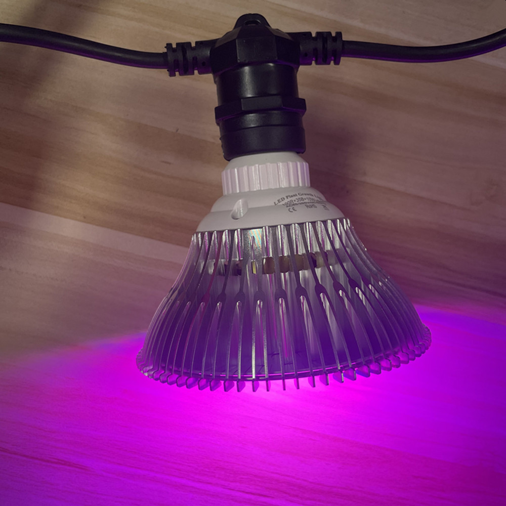 10 メートルケーブル LED ストリング商用グレード防水  - Outdoor Lighting And Landscape のレビューと価格